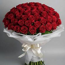 Букет 101 Красная роза Блэк Мэджик в Посевной