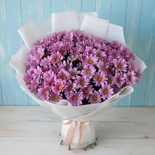 Букет цветов из:  Хризантемы в Посевной