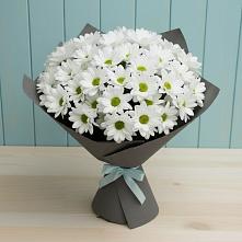 Букет цветов из:  Хризантемы в Посевной