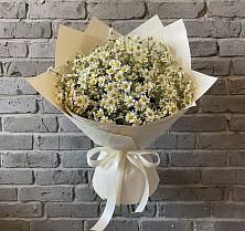 Букет цветов из:  Ромашки #REPLACE_PRED# Посевной