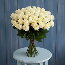 Букет 51 Белая роза Эдлесс Лав #REPLACE_PRED# Посевной