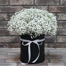 Цветочная композиция из Гипсофила в шляпной коробке в Посевной