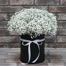 Цветочная композиция из Гипсофила в шляпной коробке в Посевной