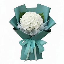 Букет цветов из:  Гортензия #REPLACE_PRED# Посевной